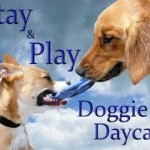 DOGGIE DAYCARE